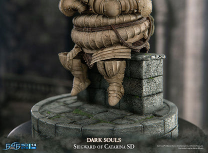 SIEGWARD OF CATARINA - COMING SOON by Super Anime Store