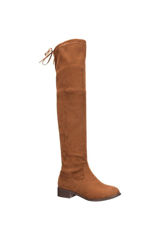 Women Over the Knee Low Heel Suede Boot