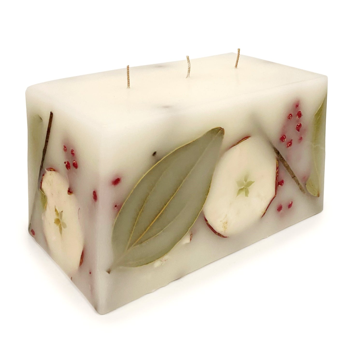 Harvest Cider 3 Wick Brick Botanical Candle by Andaluca Home