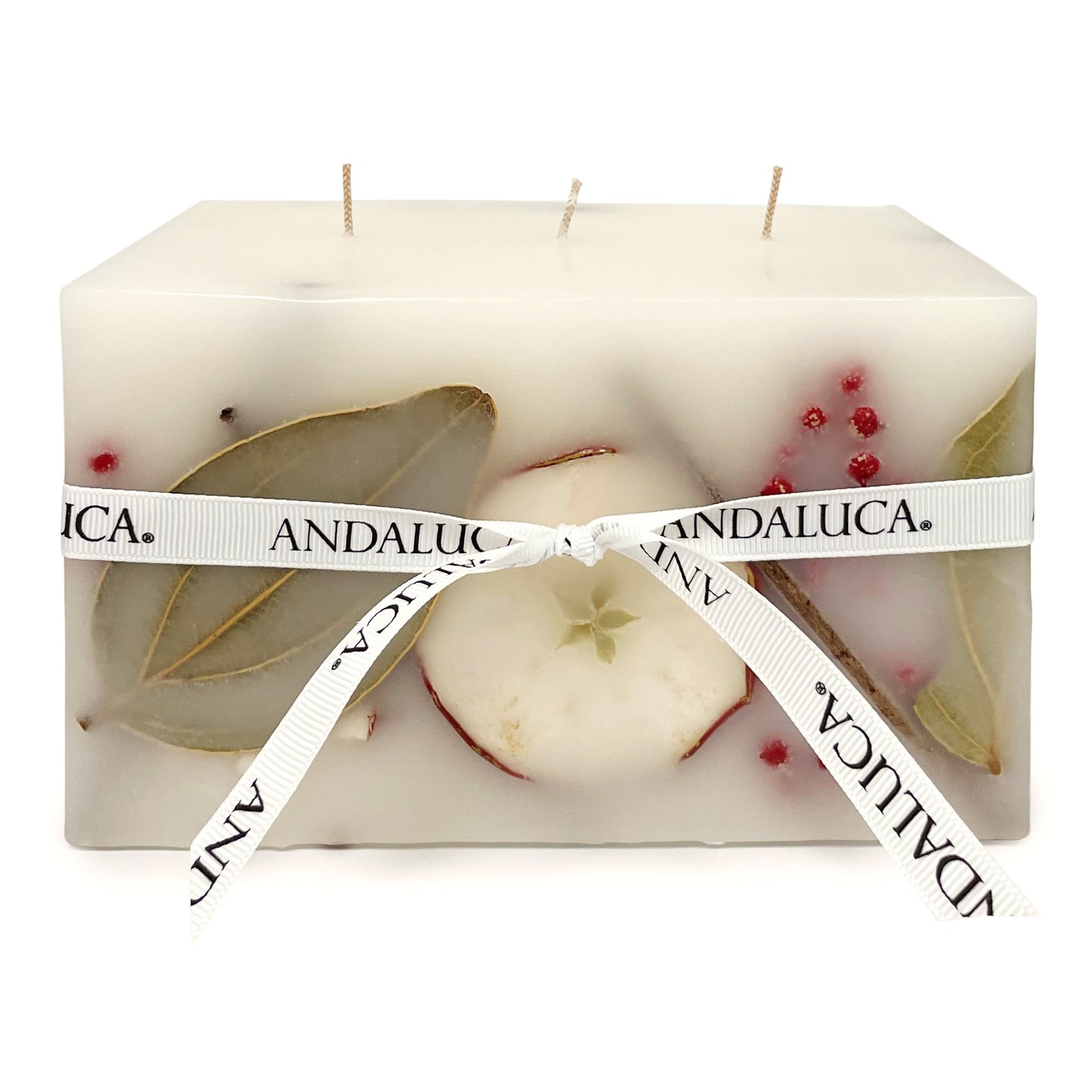 Harvest Cider 3 Wick Brick Botanical Candle by Andaluca Home