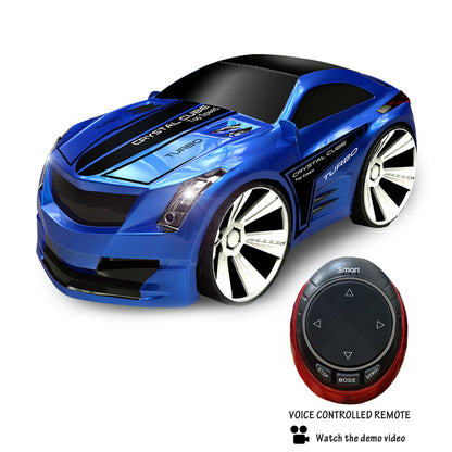 Turbo Racer Voice Activated Remote Control Sports Car by VistaShops