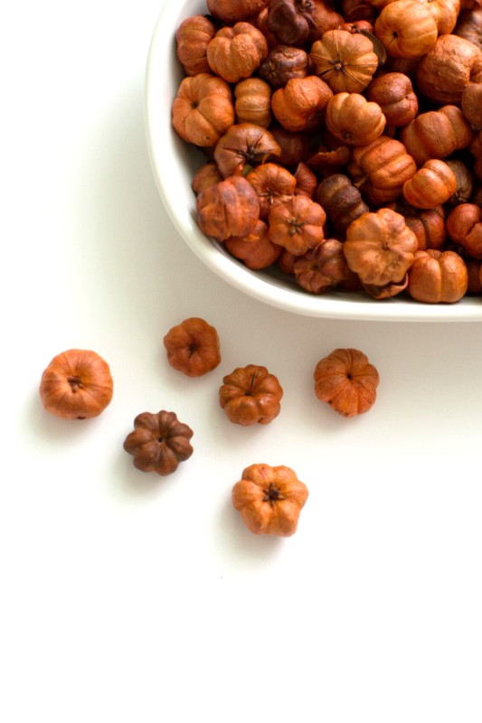 Pumpkin Spice Mini Pumpkin Potpourri