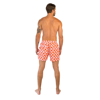 Island Fever Shorts / Orange by East x East