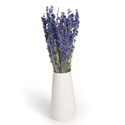 Larkspur Bundles by Andaluca Home