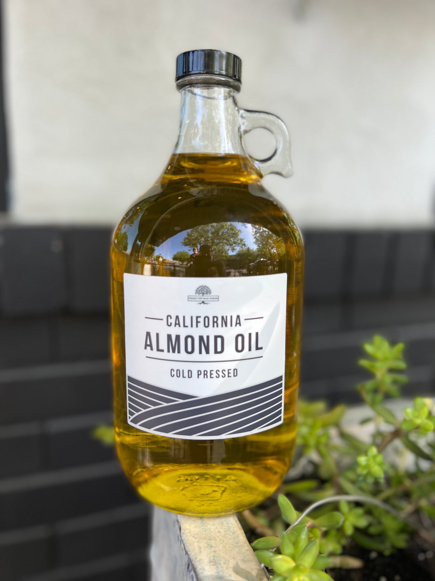 Pure Cold Pressed Almond Oil - 1/2 Gallon Jug by freshvintagefarms