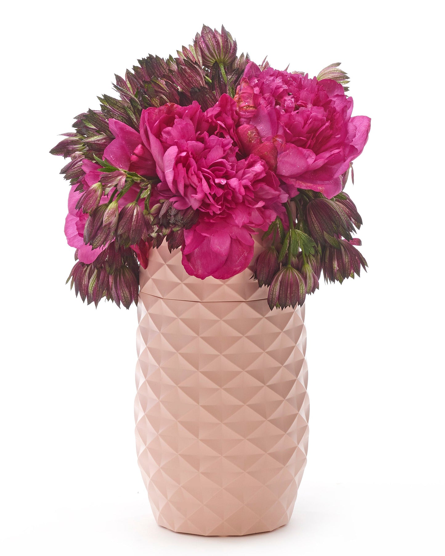 The Amaranth Vase - Pink - 7.5" by Amaranth Vases