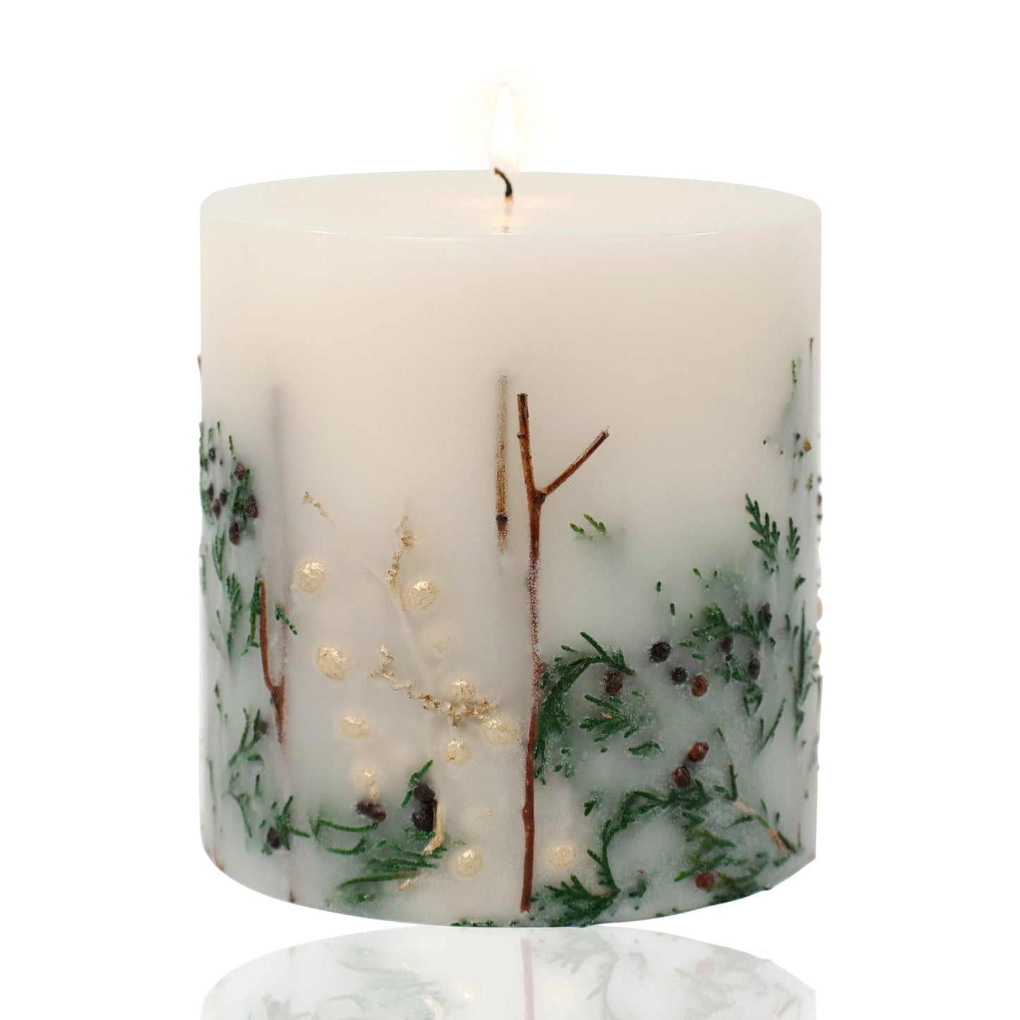 Evergreen Pine Botanical Candle by Andaluca Home