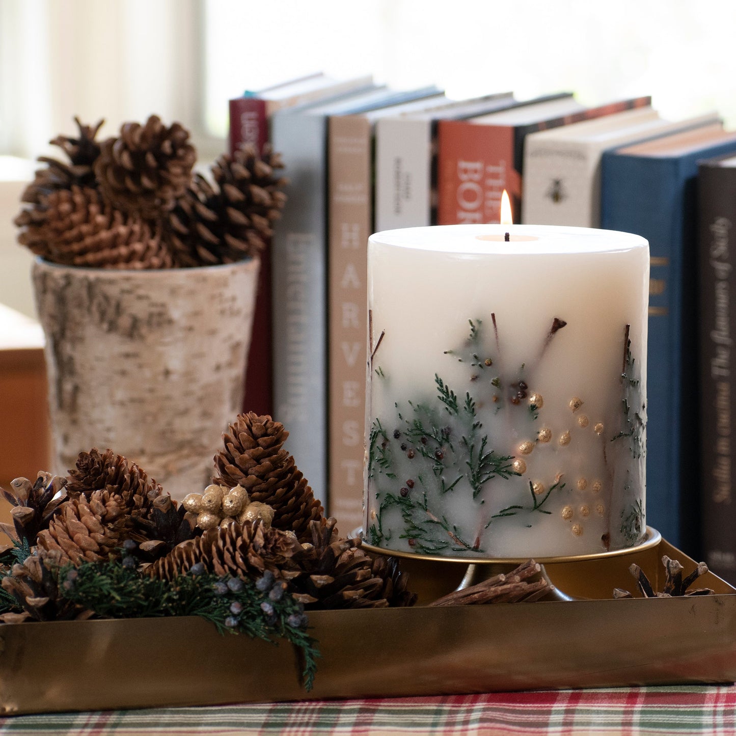 Evergreen Pine Botanical Candle by Andaluca Home