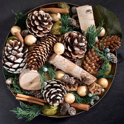 Evergreen Pine Potpourri by Andaluca Home