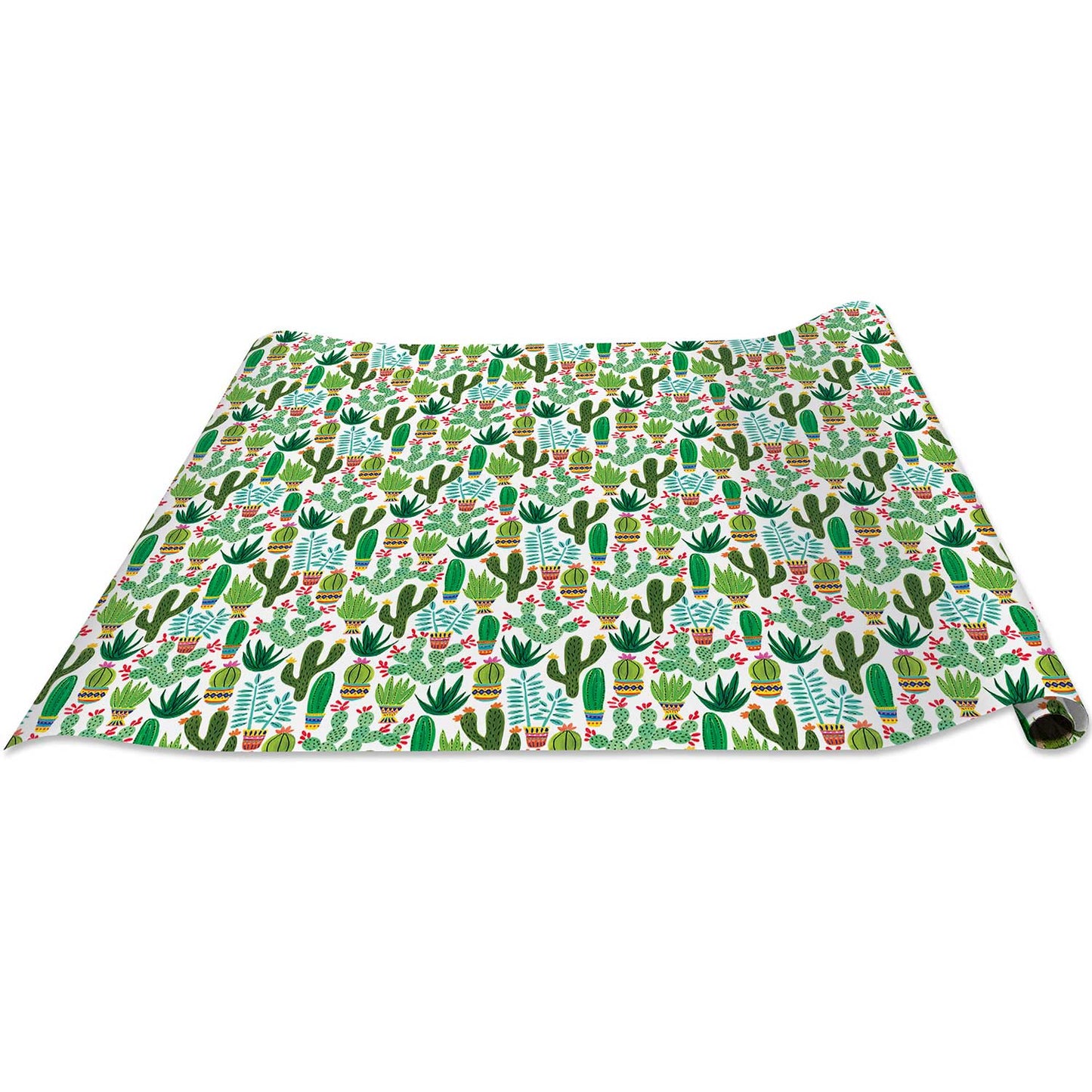 Sedona Cactus Gift Wrap by Present Paper