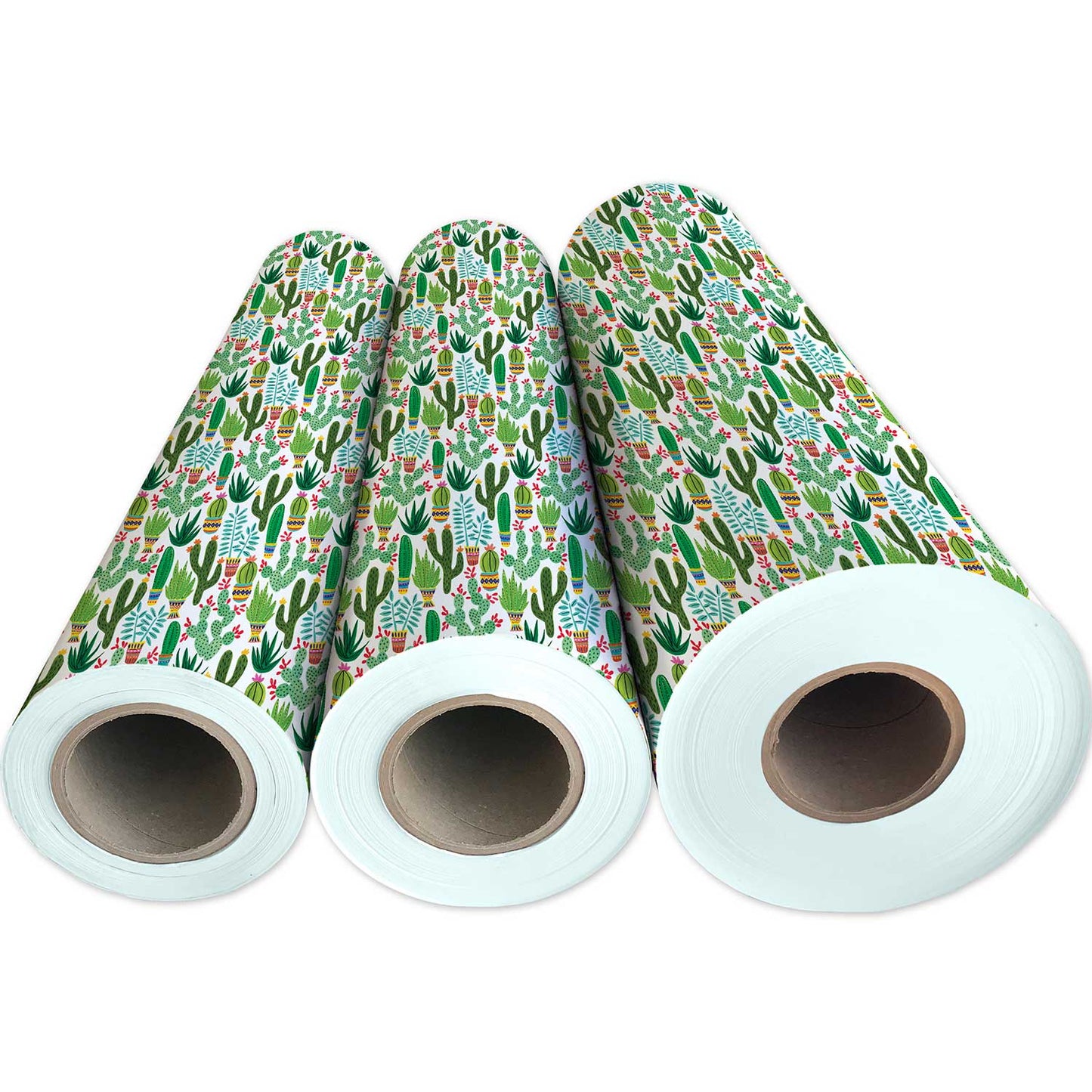 Sedona Cactus Gift Wrap by Present Paper