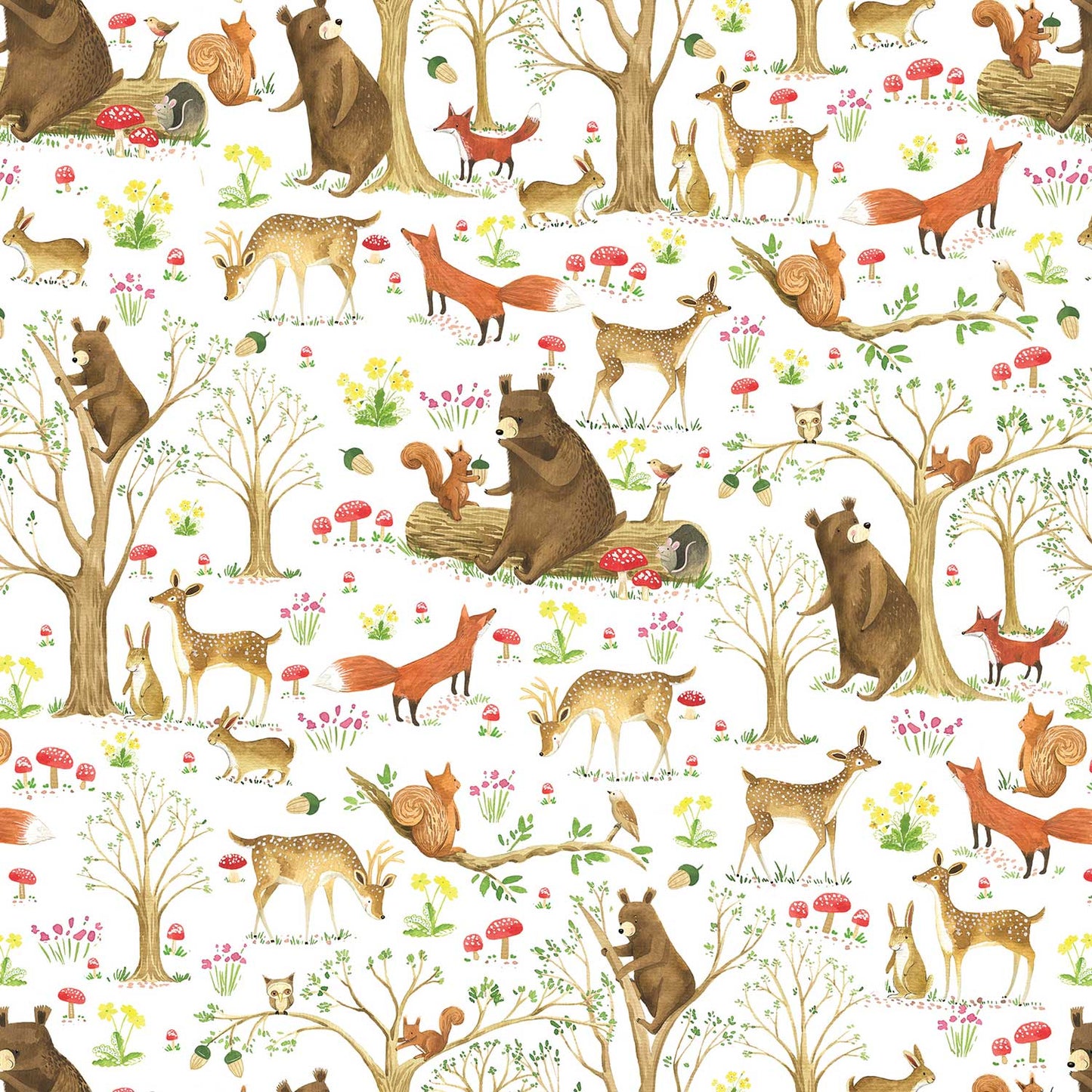 Fairytale Forest Bears Baby Gift Wrap by Present Paper