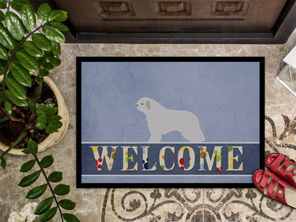 Spanish Water Dog Welcome Indoor or Outdoor Mat 18x27 BB5519MAT by Caroline's Treasures