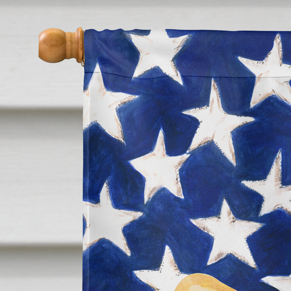 Pembroke Corgi Patriotic Flag Canvas House Size BB9642CHF by Caroline's Treasures