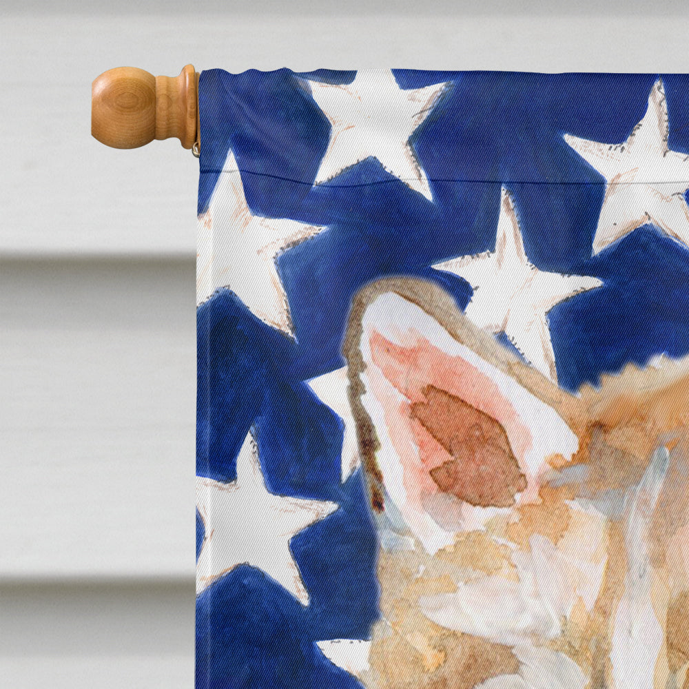 Siberian Husky Patriotic Flag Canvas House Size BB9655CHF by Caroline's Treasures