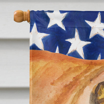 Shar Pei Patriotic Flag Canvas House Size BB9661CHF by Caroline's Treasures