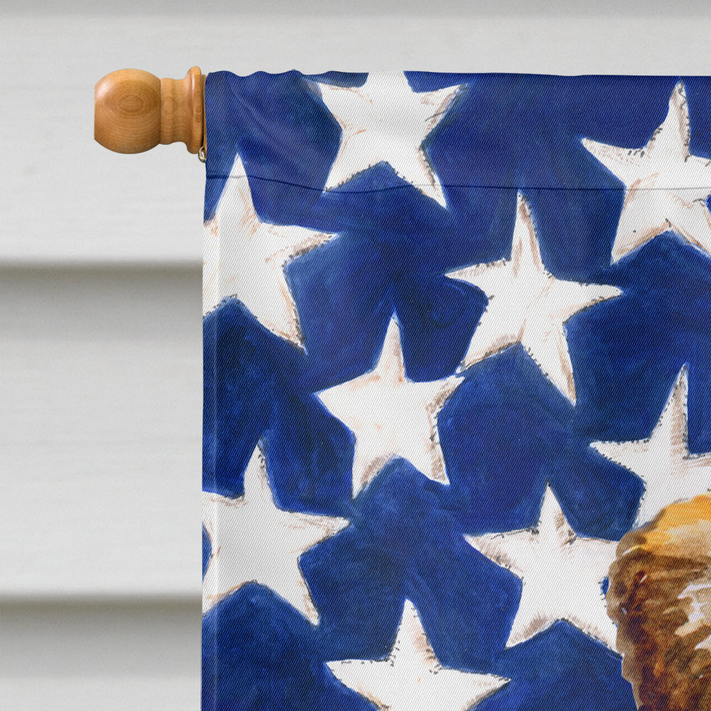 Small Brabant Griffon Patriotic Flag Canvas House Size BB9667CHF by Caroline's Treasures