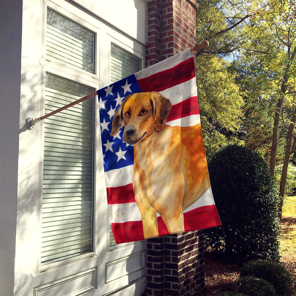 Rhodesian Ridgeback Patriotic Flag Canvas House Size BB9676CHF by Caroline's Treasures