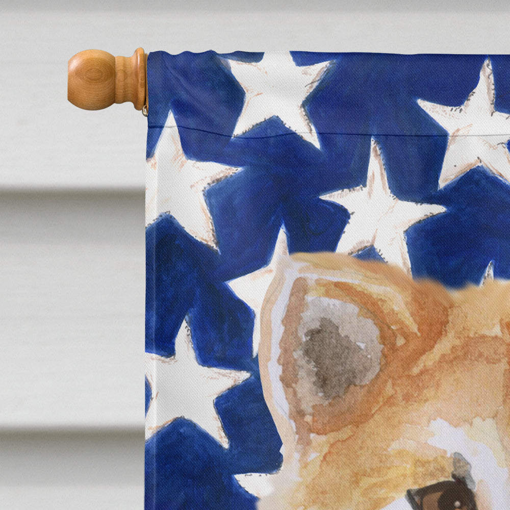 Shiba Inu Patriotic Flag Canvas House Size BB9678CHF by Caroline's Treasures