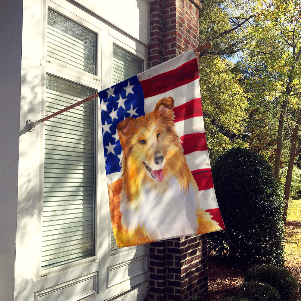 Sheltie Patriotic Flag Canvas House Size BB9720CHF by Caroline's Treasures