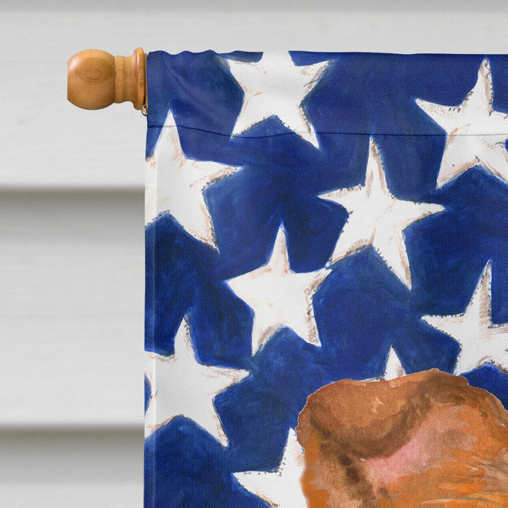 Sheltie Patriotic Flag Canvas House Size BB9720CHF by Caroline's Treasures