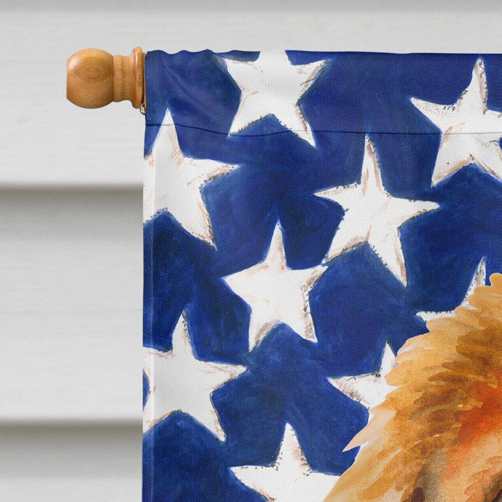 Tibetan Mastiff Patriotic Flag Canvas House Size BB9721CHF by Caroline's Treasures