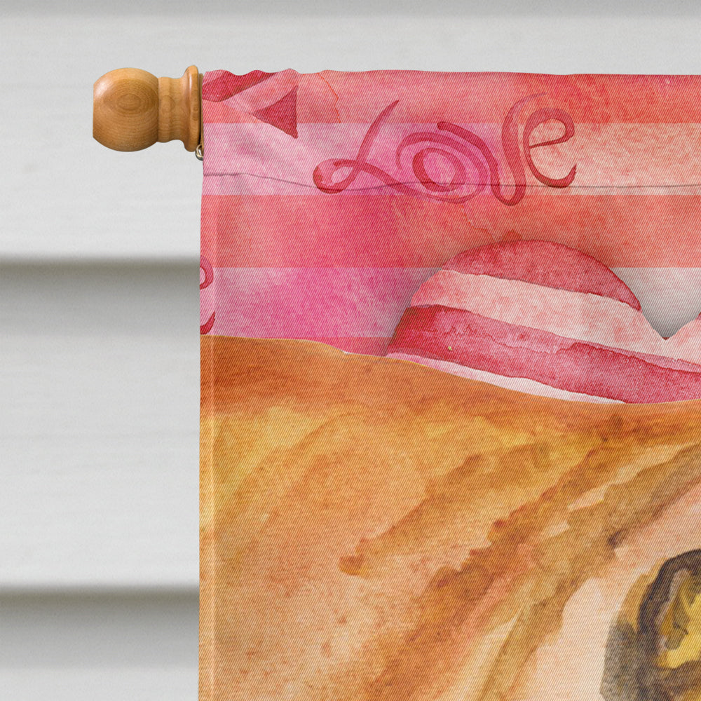 Shar Pei Love Flag Canvas House Size BB9748CHF by Caroline's Treasures