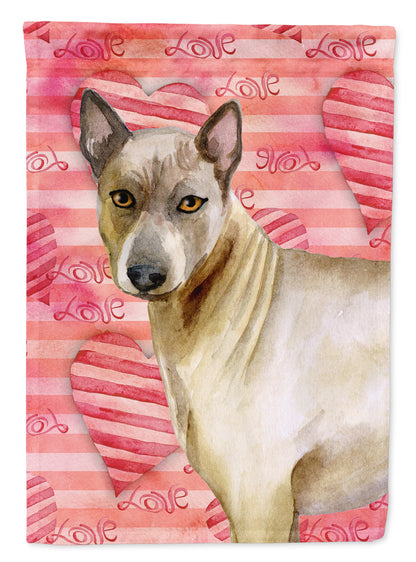 Thai Ridgeback Love Flag Canvas House Size BB9767CHF by Caroline's Treasures