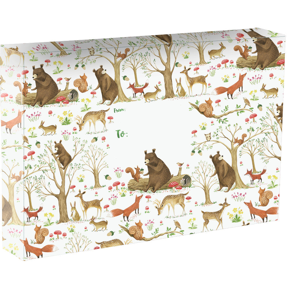 Fairytale Forest Bears Large Baby Printed Gift Mailing Boxes by Present Paper