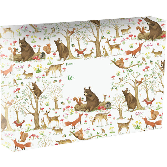 Fairytale Forest Bears Large Baby Printed Gift Mailing Boxes by Present Paper