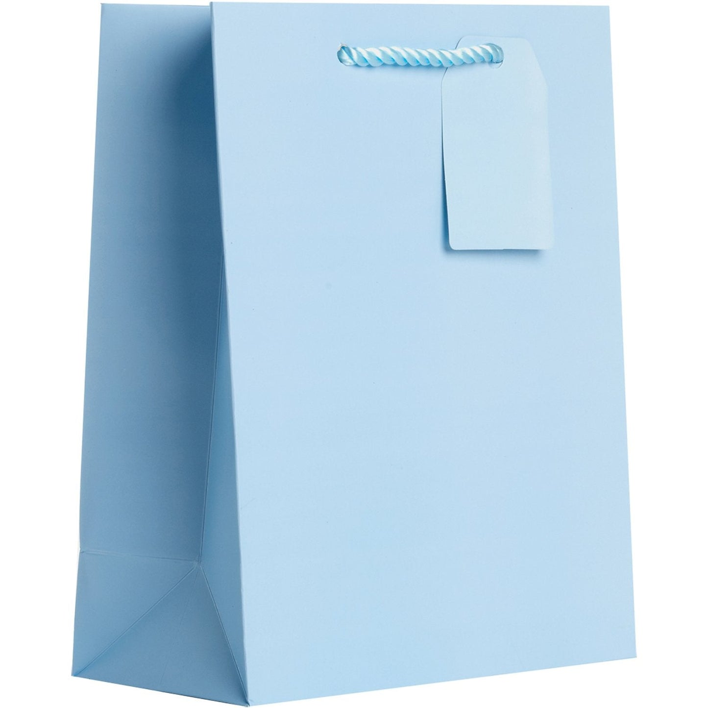 Heavyweight Solid Color Medium Gift Bags, Matte Pastel Blue by Present Paper