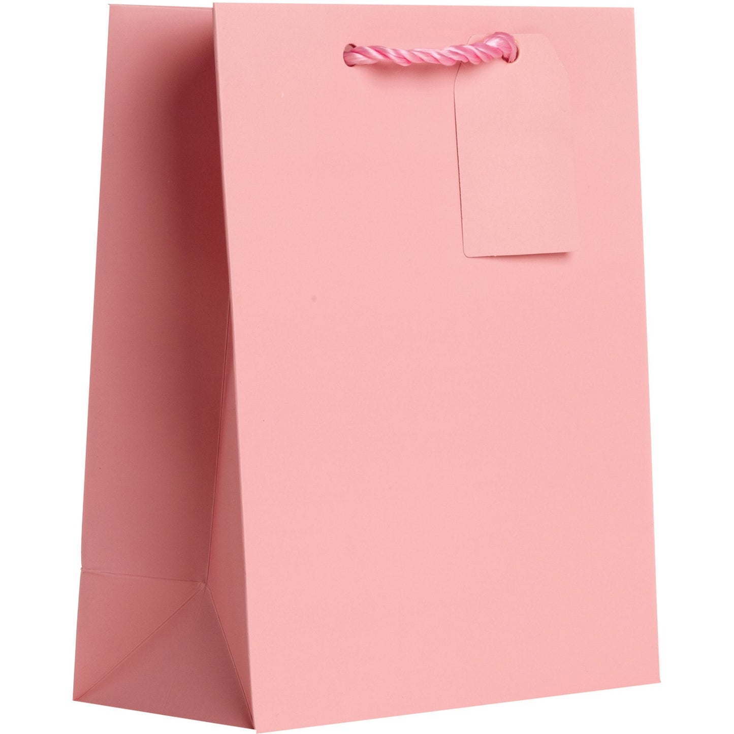 Heavyweight Solid Color Medium Gift Bags, Matte Pastel Pink by Present Paper