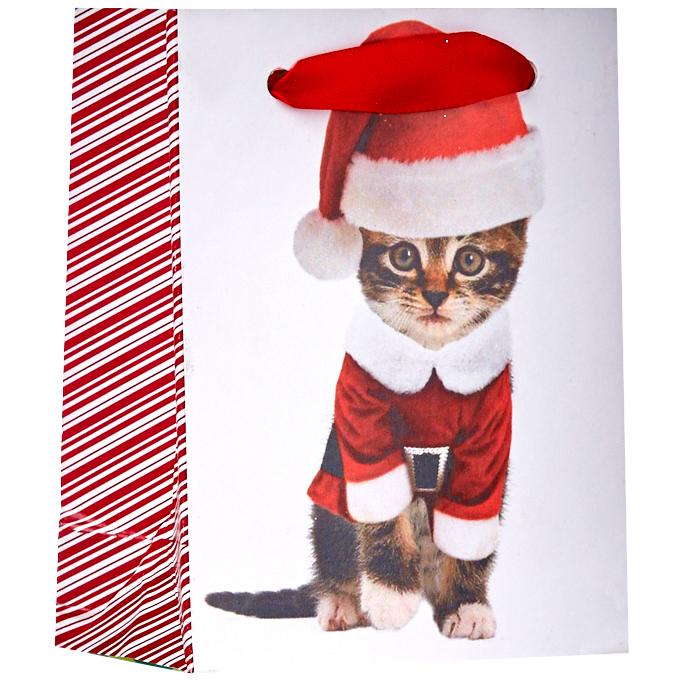 Tiny Gloss Christmas Gift Bags, Kitty Cat Kittens by Present Paper