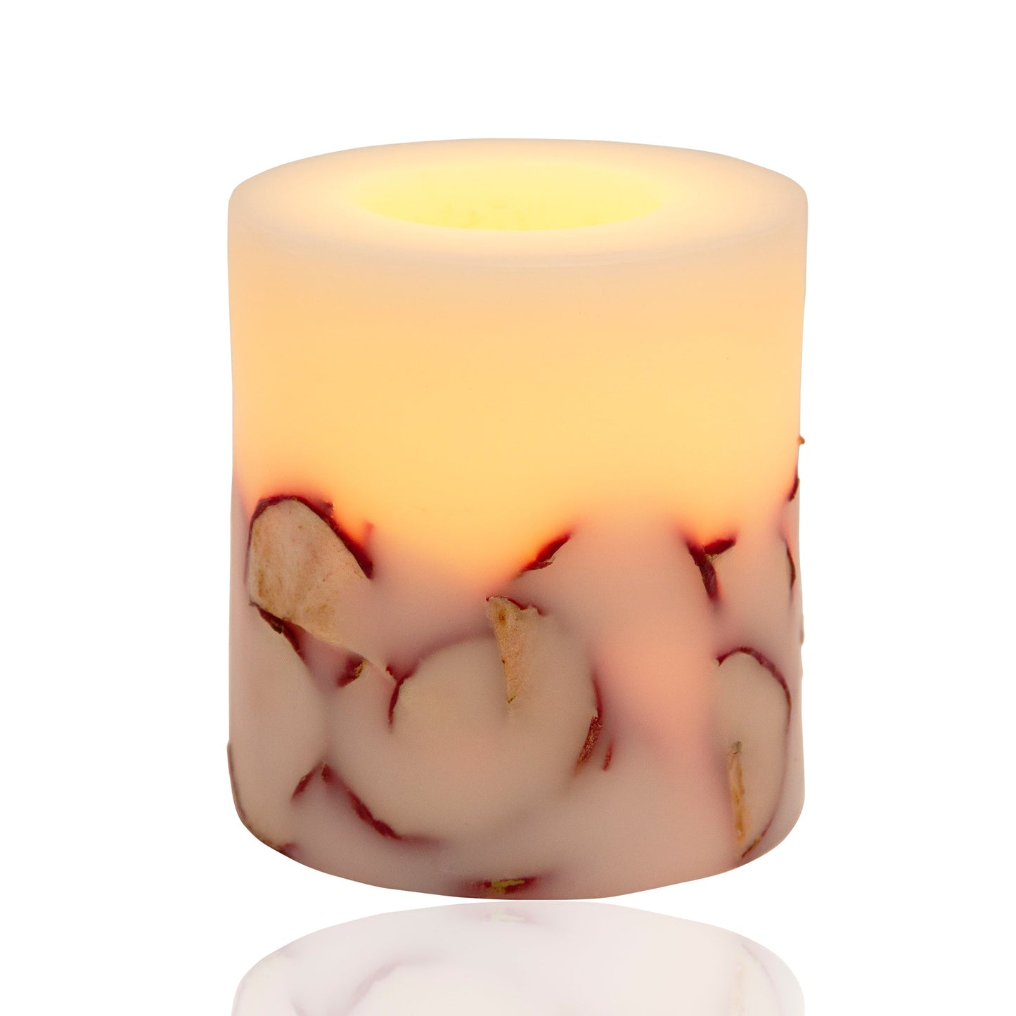 Apple Slice Botanical Candle by Andaluca Home