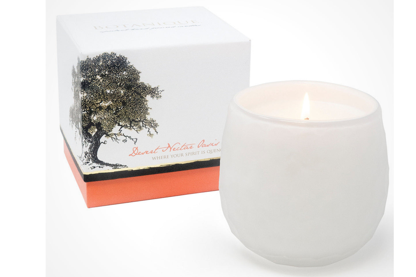 Botanique White 16 oz Candle by Andaluca Home