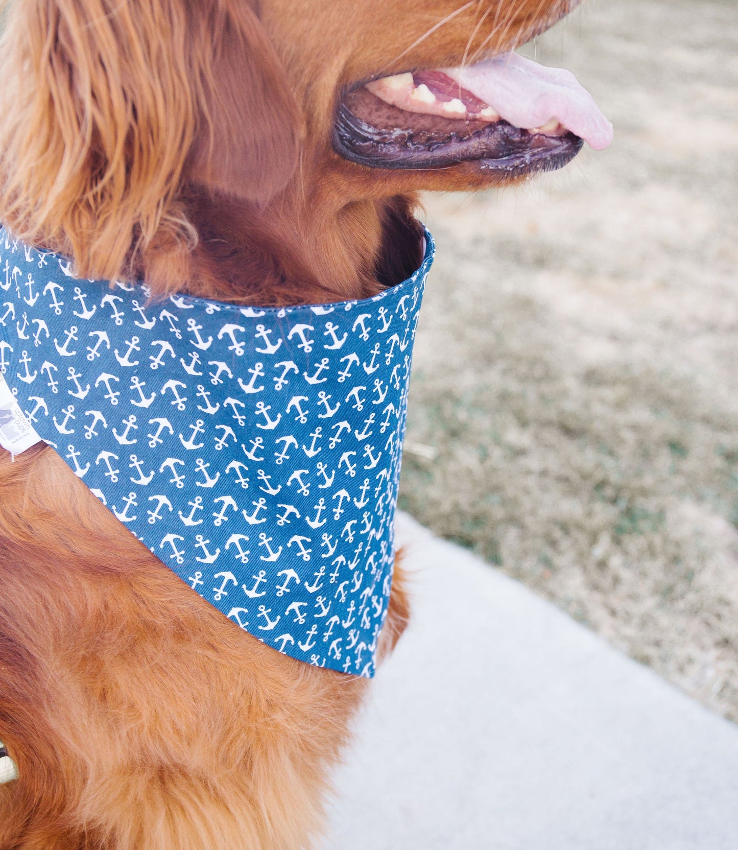 Navy Anchors Reversible Dog Bandana by Uptown Pups