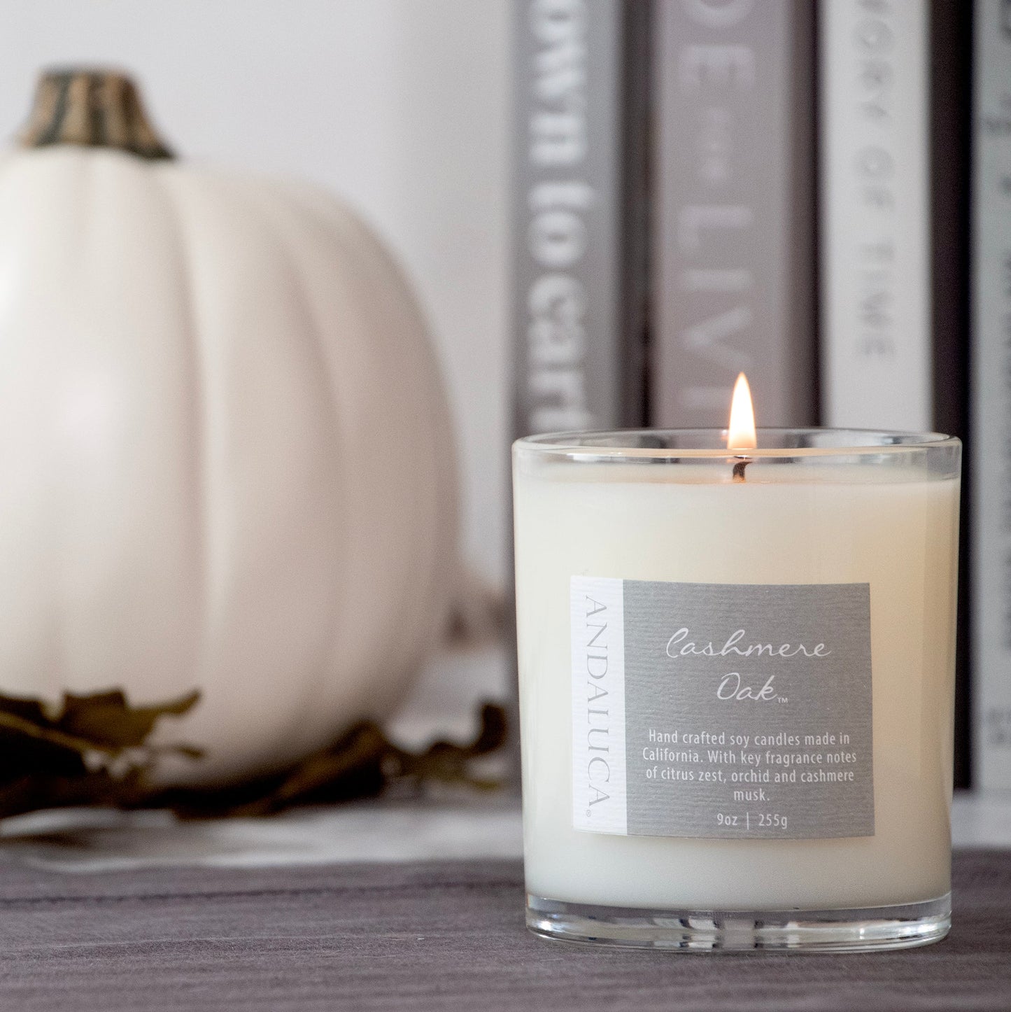 Cashmere Oak 9oz Candle by Andaluca Home