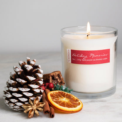 Holiday Memories 9oz Candle by Andaluca Home