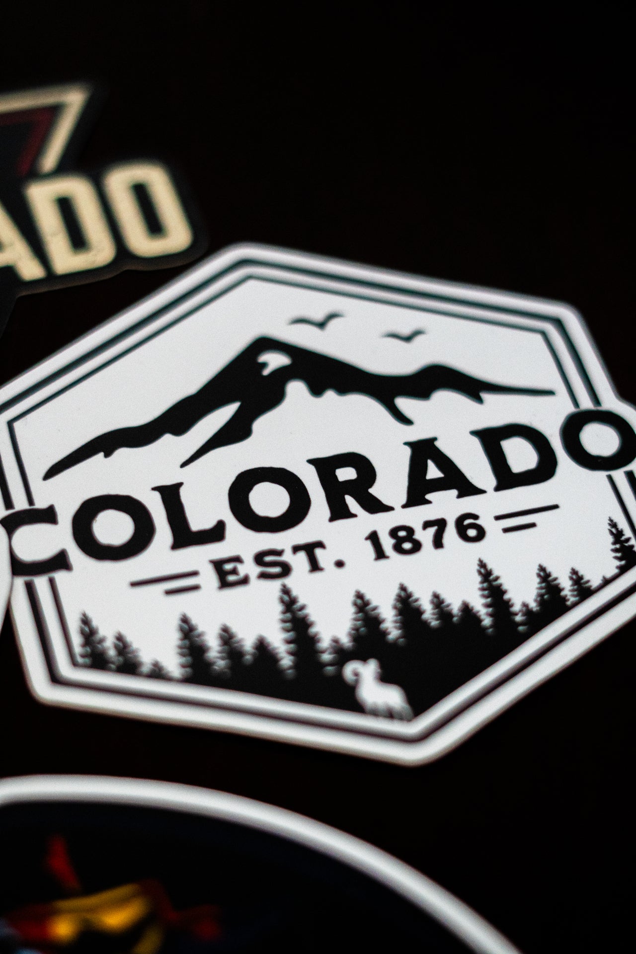 Colorado EST. 1876 Sticker by Colorado Threads Clothing