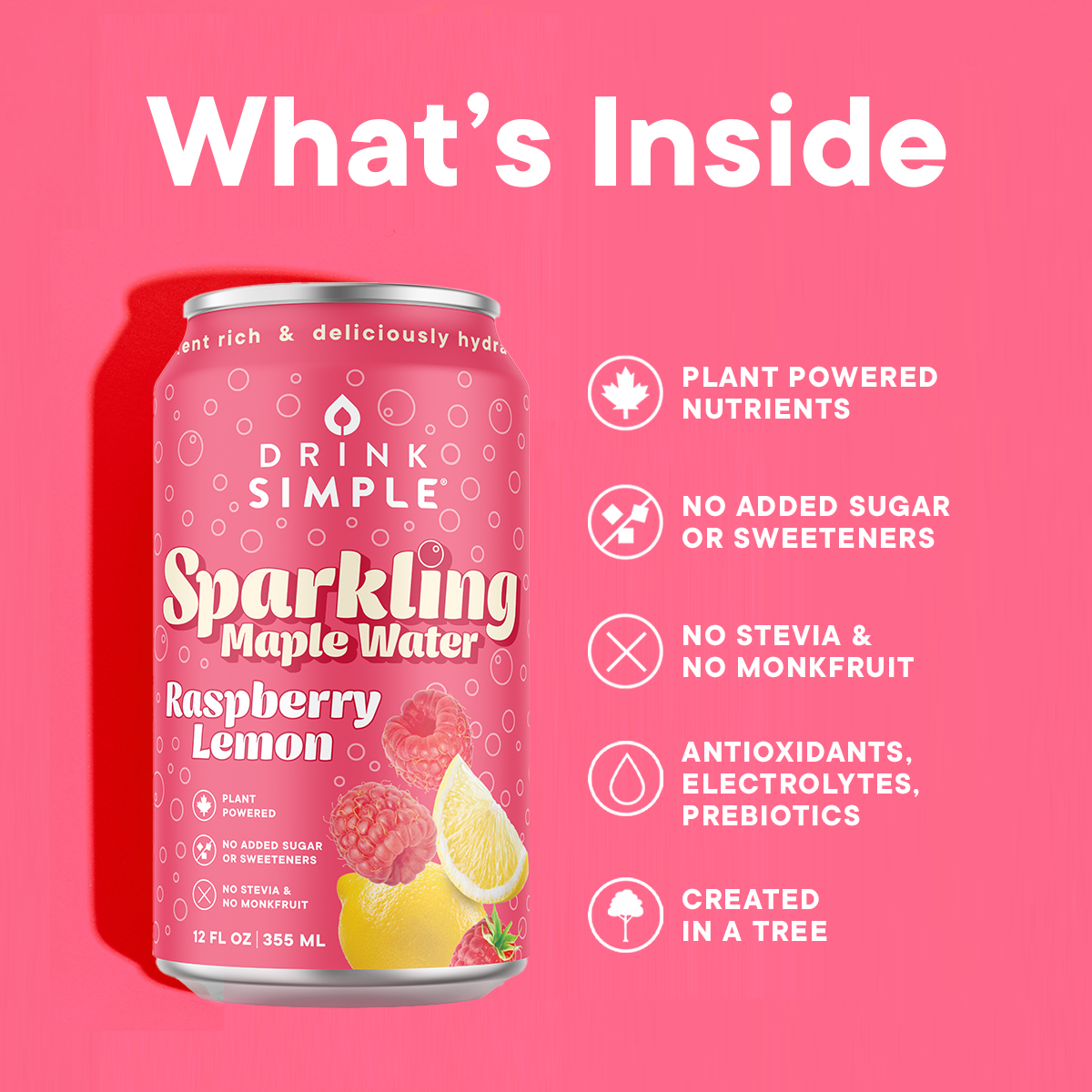 12 oz. Raspberry Lemon Sparkling Maple Water - 12 Pack by Drink Simple