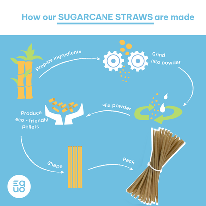 Sugarcane Drinking Straws (Wholesale/Bulk), Standard Size - 1000 count by EQUO