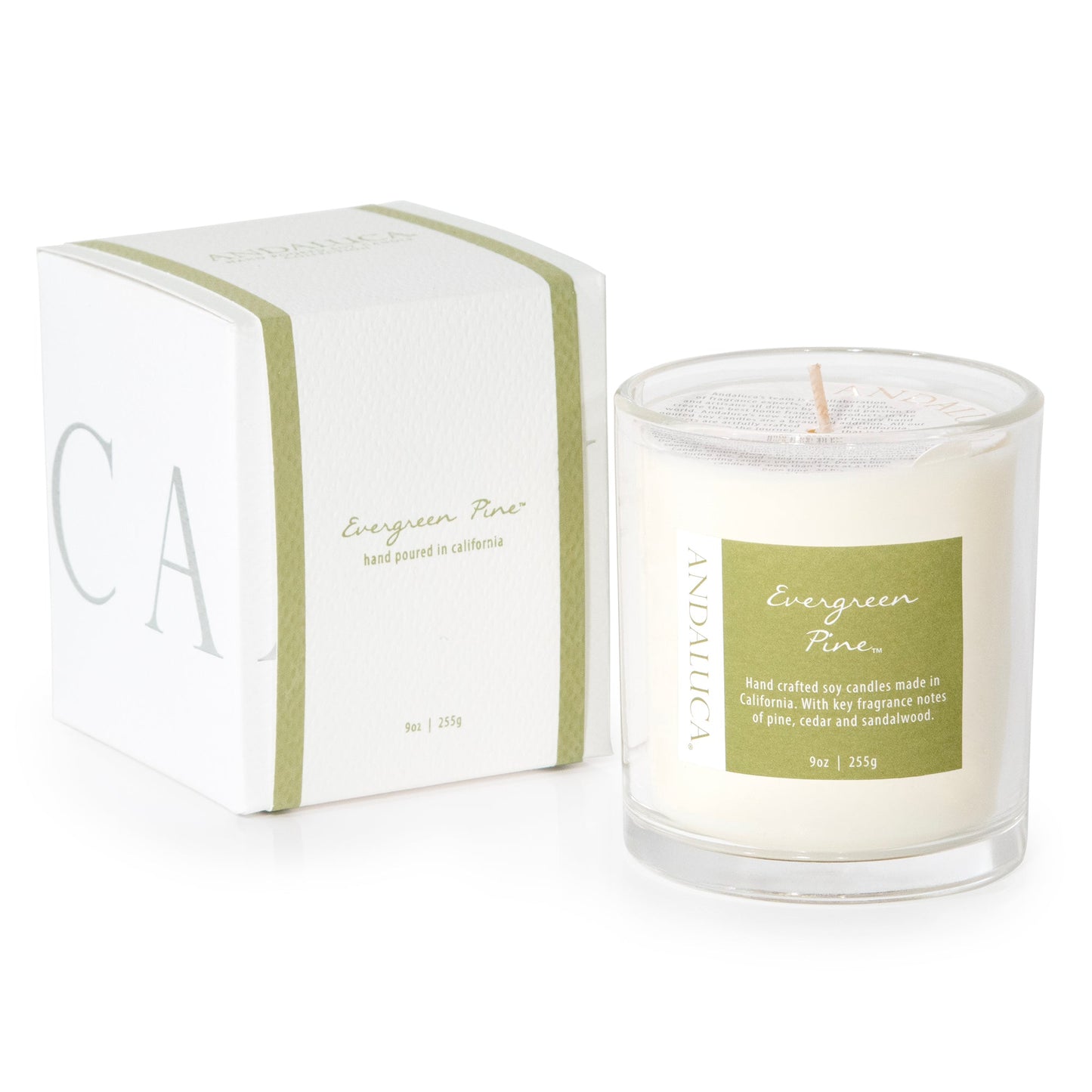 Evergreen Pine 9oz Candle by Andaluca Home