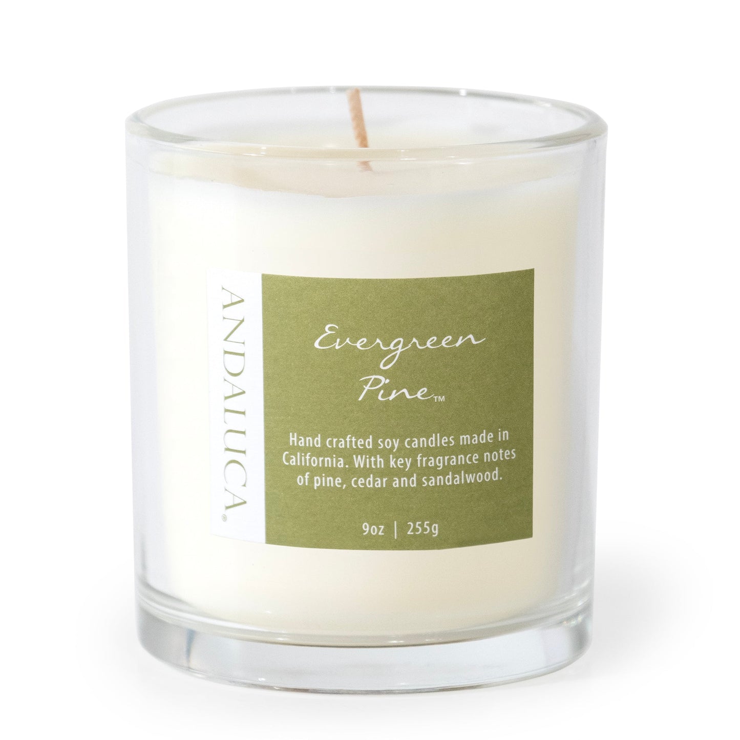 Evergreen Pine 9oz Candle by Andaluca Home