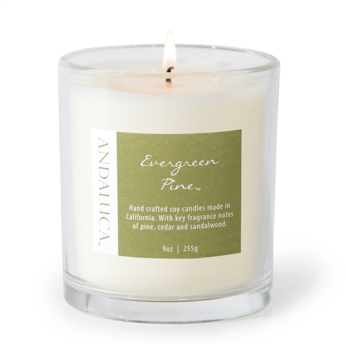 Evergreen Pine 9oz Candle by Andaluca Home