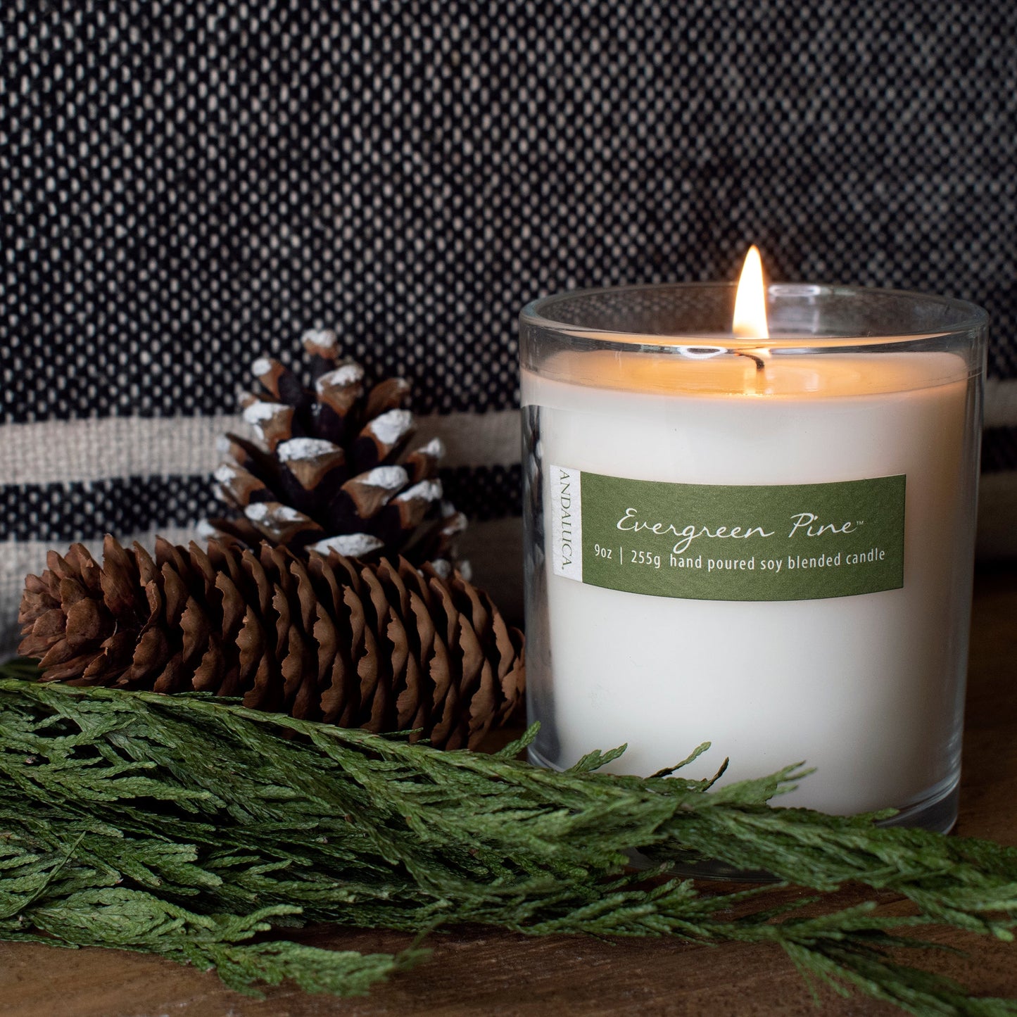 Evergreen Pine 9oz Candle by Andaluca Home