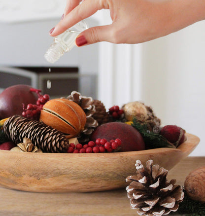 Holiday Memories Potpourri by Andaluca Home