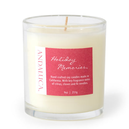 Holiday Memories 9oz Candle by Andaluca Home