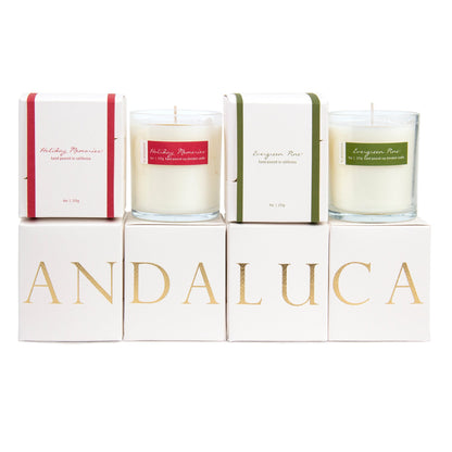 Holiday Memories 9oz Candle by Andaluca Home