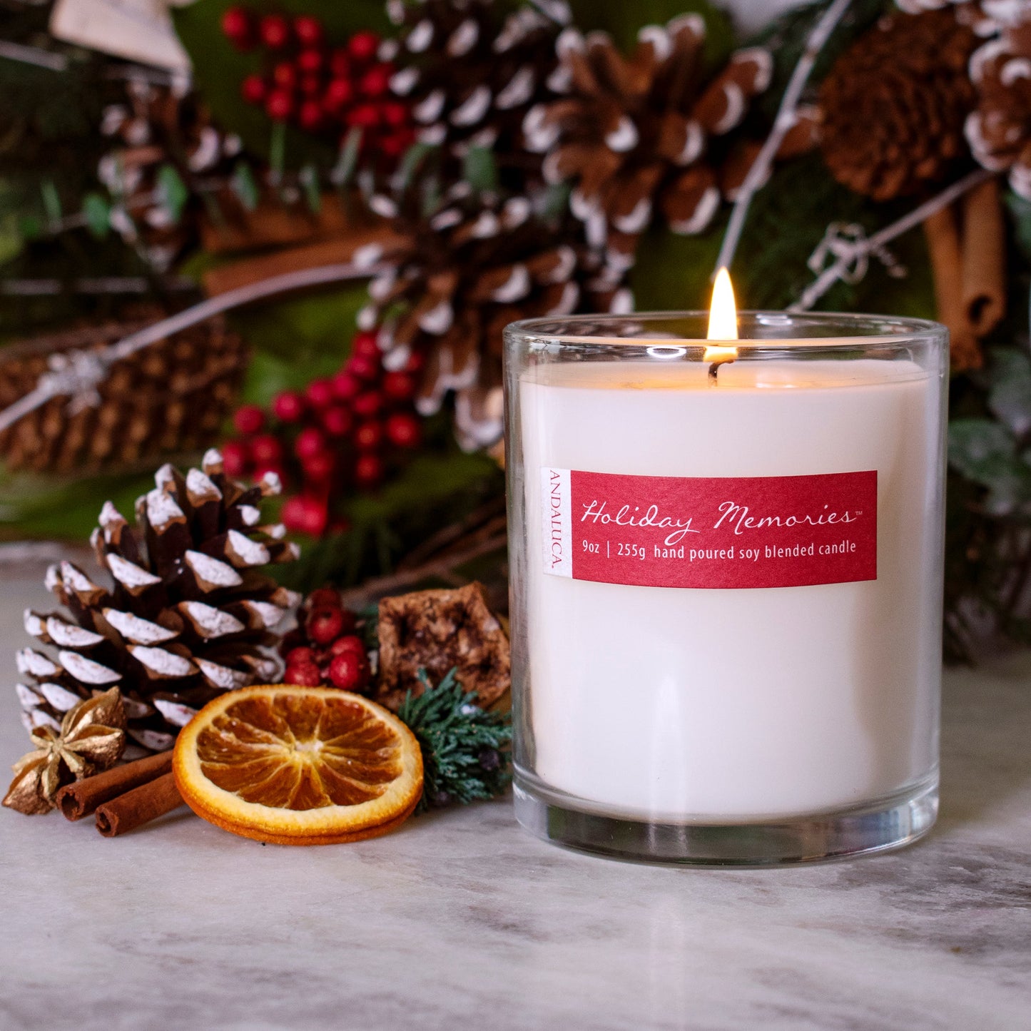 Holiday Memories 9oz Candle by Andaluca Home