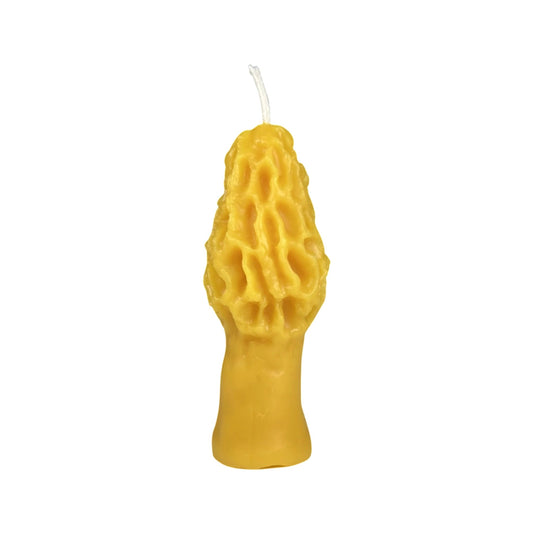 100% Pure Beeswax Morel Mushroom Candle by Sister Bees